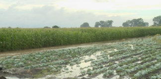 Гражданско неподчинение заради преливането на река Чая вчера край Садово