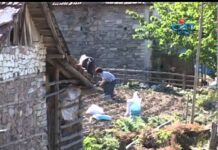 Посоки – Жълт Камък