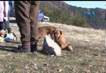 Посоки – Бор и Белинташ