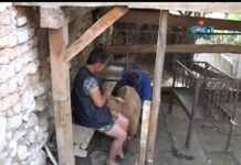 Посоки – Пролом