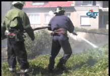 Тема от деня 28.08.2012 – 2