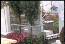 Дневник 25.02.2013