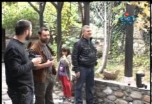 Дневник 29.10.2012