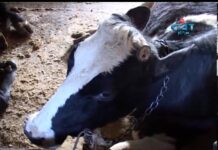 Дневник 19.10.2012