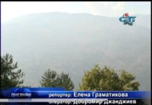 Дневник 10.08.2012