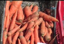 Аграрна Книжарница 10.11.2016