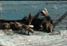 Аграрна Книжарница 02.11.2016