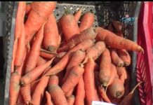 Аграрна книжарница 15.09.2016