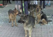 Тема от деня 14.06.2016