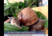 Дневник 13.04.2015