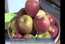 Дневник 24.02.2016