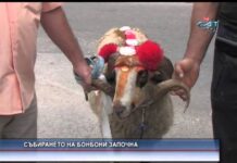 Дневник 23.09.2015