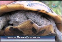 Дневник 27.07.2015