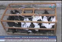 Дневник 30.03.2015