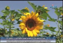 Дневник 04.03.2015