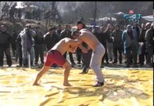 Пехливански борби 2015