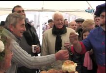 Празници на виното Асеновград 2015