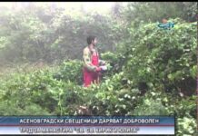 Дневник 09.10.2014