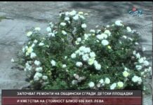 Дневник 25.07.2014