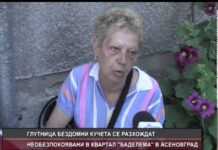 Дневник 24.06.2014