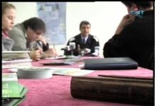 Дневник 15.11.2013