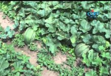 Дневник 20.09.2013