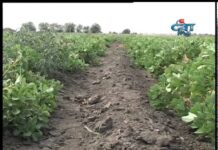 Дневник 11.09.2013