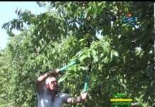 Аграрна книжарница 25.07.2013