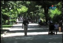 Дневник 24.07.2013