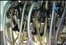 Дневник 18.07.2013