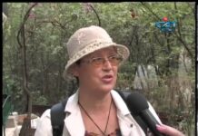 Дневник 05.07.2013