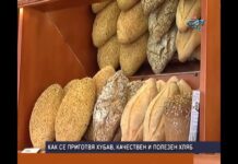 Дневник 18.05.2017