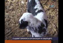 Дневник 15.05.2017