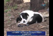 Дневник 04.10.2017