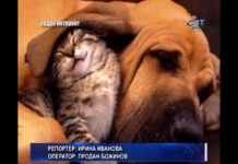 Дневник 13.11.2017