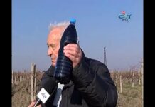 Тема от Деня 01.02.2018