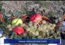 Дневник 01.02.2018