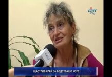 Дневник 26.06.2018