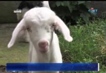 Дневник 20.07.2018