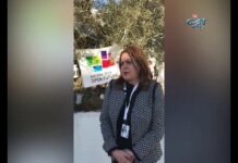 Тема от деня 30.01.2019