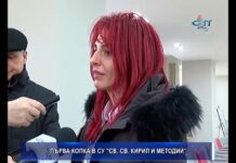 Дневник 07.02.2019