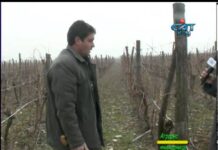 Аграрна книжарница 14.02.2013