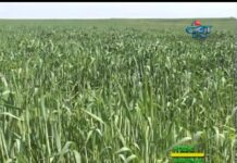 Аграрна книжарница 29.11.2012