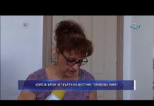 Дневник 17.07.2019