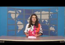 Дневник 04.11.2019