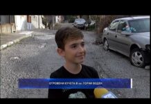 Дневник 07.11.2019