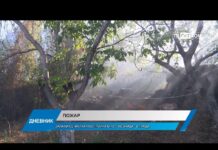 Дневник 26.09.2024