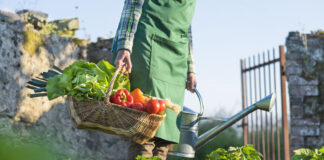 За първи път България е страна-партньор на „Зелена седмица“ Берлин