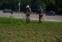 В началото на септември изтича договорът на Община Асеновград с фирмата за озеленяване – преглеждат новите оферти