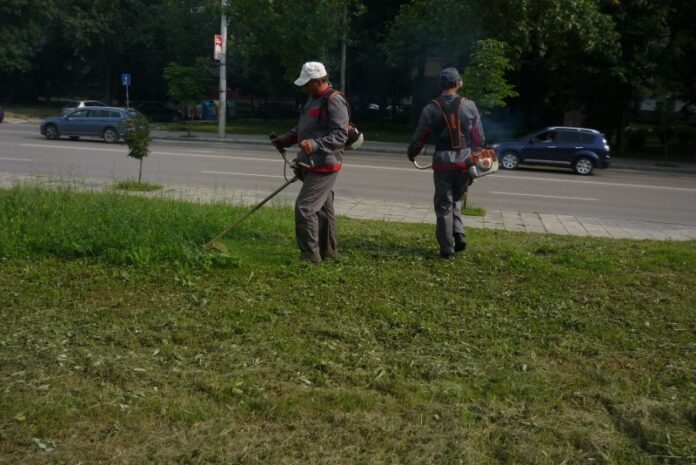 services_cf37dfc47627e79d4d04ca351747945a